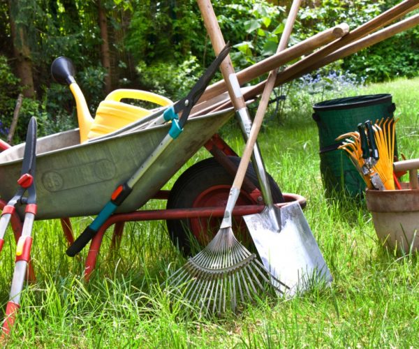 The Most Basic Gardening Tools You Should Have