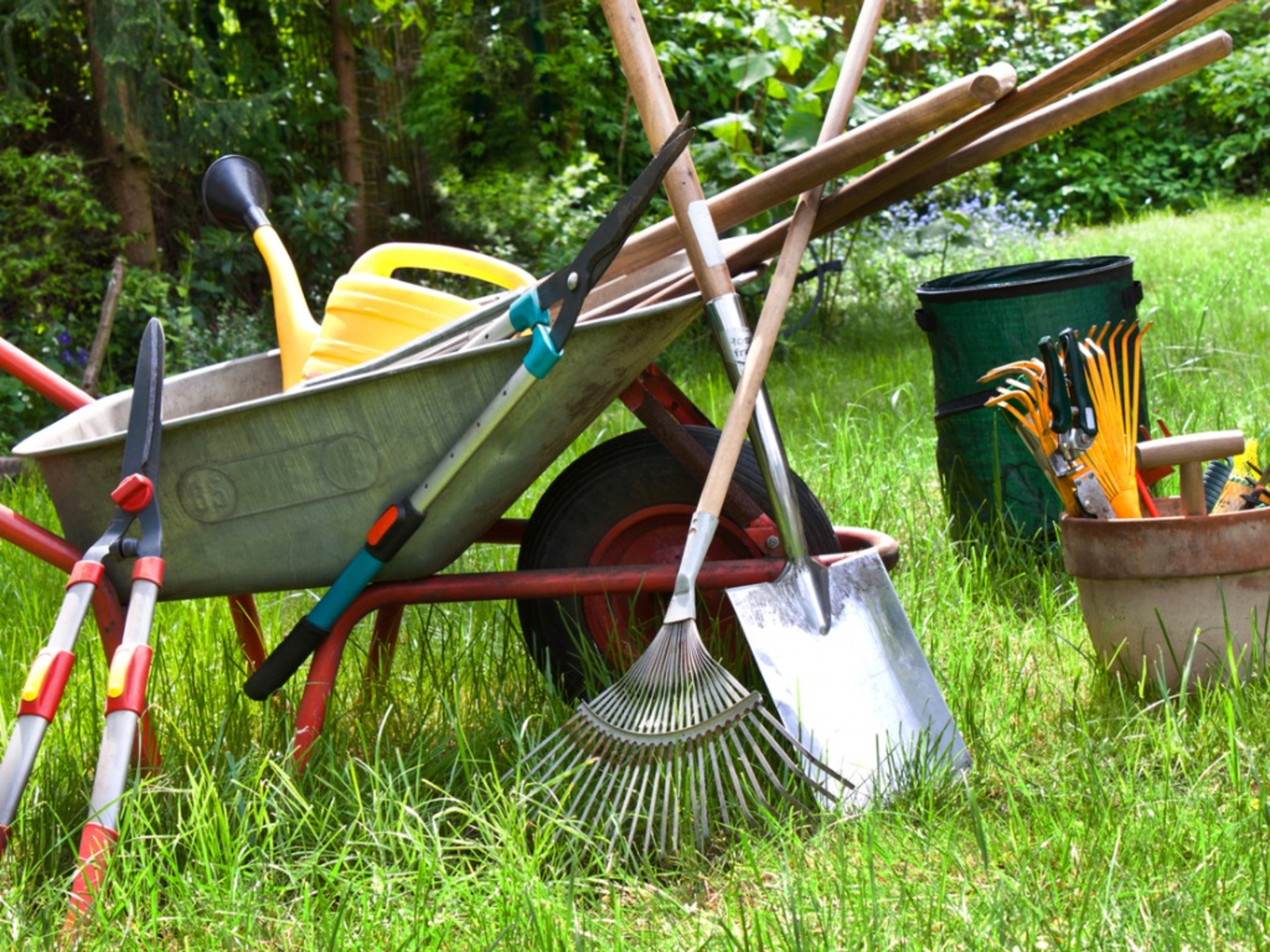 The Most Basic Gardening Tools You Should Have